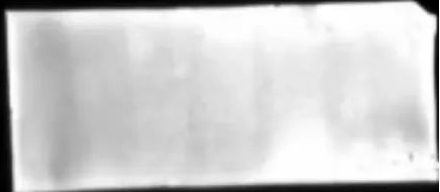 Western Blot（WB）实验科研小白系列-上