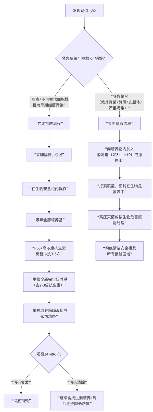 细胞培养常见污染类型与处理办法：从“救火”到“防火”的完全指南